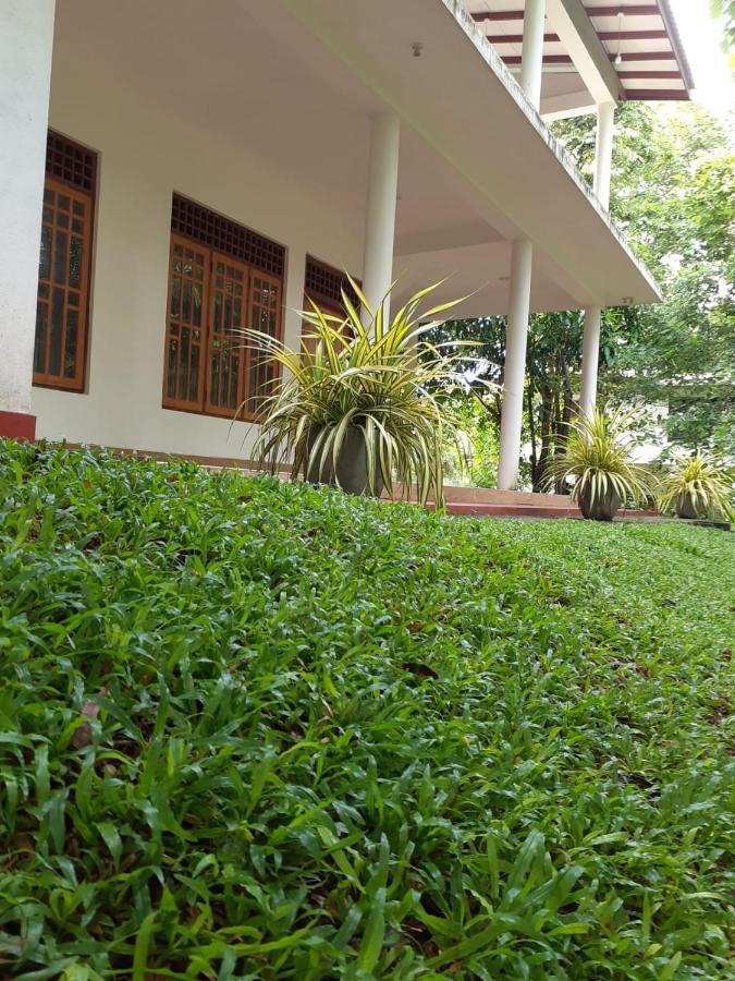 Yonara Green Rest Habarana Bagian luar foto