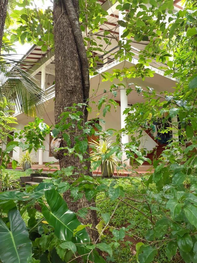 Yonara Green Rest Habarana Bagian luar foto