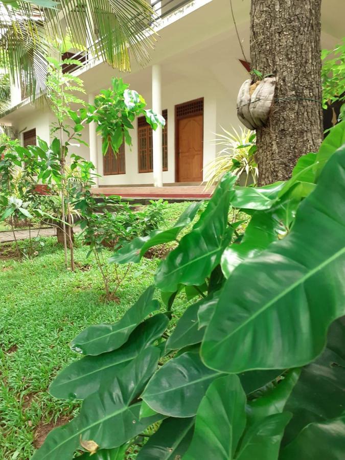 Yonara Green Rest Habarana Bagian luar foto